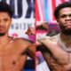 Shawn Porter's Insightful Analysis of Shakur Stevenson vs Devin Haney Performance