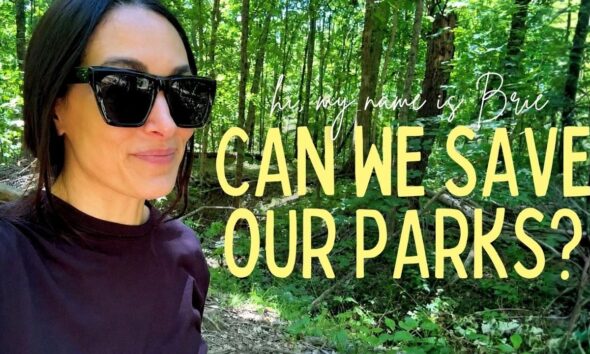 "Brie Bella Asserts: 'We Can Live Without AI