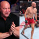 Dana White says Uros Medic's superstar trajectory is trending upwards following 30-second UFC Belgrade finish