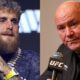Dana White explains his lack of interest in promoting Jake Paul