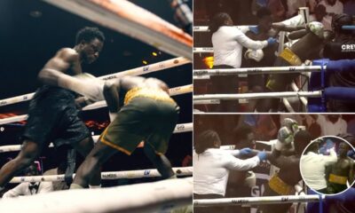 "Wiped Out Boxer Stands Tall, Endures 10 Unanswered Punches Before Referee Intervention"