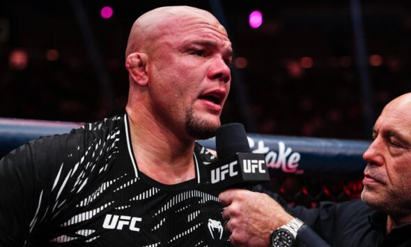 Anthony Smith releases first statement since July arrest for multiple felony charges