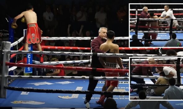 "Arturo Torres Collapses After Fatal TKO: Shocking Video Highlights Tragic Boxing Incident"