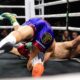 "Isaac Cruz Dominates Bravo in Chaotic Fight, Challenges Ryan Garcia Next"