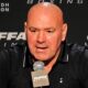 "Dana White's Vision: Who Fits Zuffa Between Benavidez and Tank?"