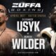 "Audley Harrison Analyzes Usyk vs Wilder: The End of the Old Bronze Bomber"