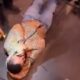 Video shows police officer slamming spectator at UFC Edmonton