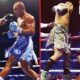 "Frazer Clarke Declares Fabio Wardley Hits Harder Than Daniel Dubois: 'Massively' | Boxing News"