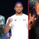 "Lennox Lewis Shares Verdict on Tyson Fury vs Anthony Joshua After Friendly Press Conference"