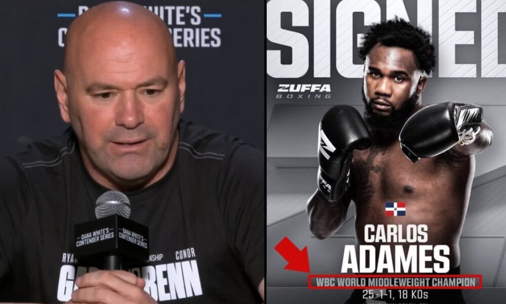 "Dana White's 2026 Promotion of WBC After Rejecting Boxing Bodies in 2025"