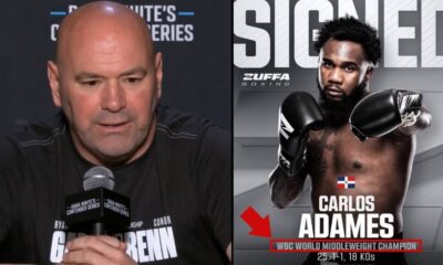 "Dana White's 2026 Promotion of WBC After Rejecting Boxing Bodies in 2025"