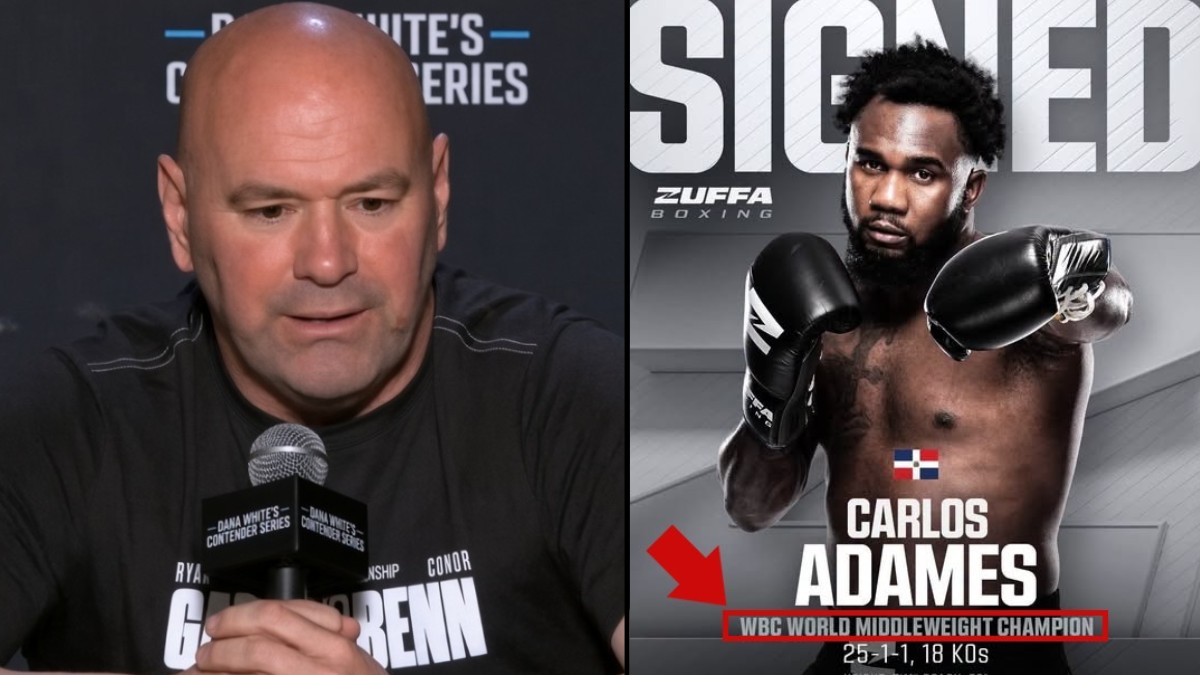 "Dana White's 2026 Promotion of WBC After Rejecting Boxing Bodies in 2025"